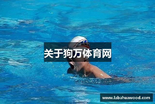 关于狗万体育网